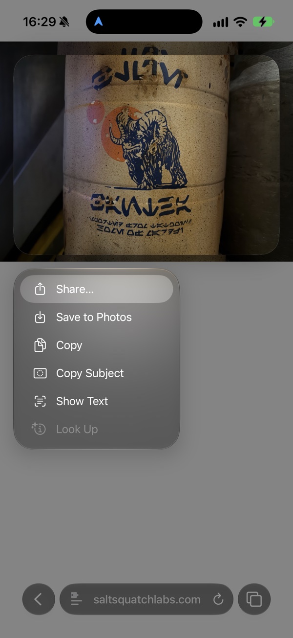 Long press an image, then select Share